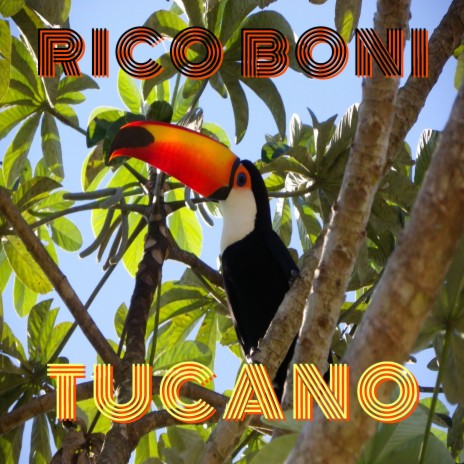 Tucano | Boomplay Music