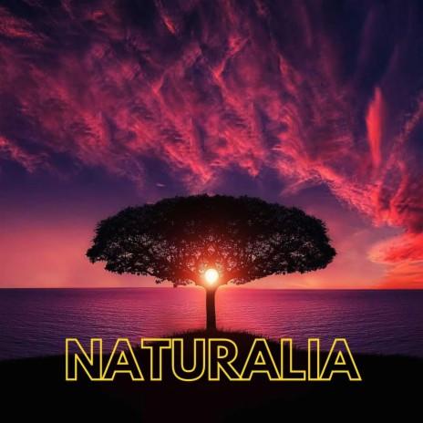 Naturalia | Boomplay Music