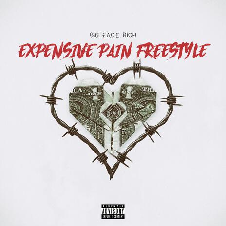 Expensive Pain Freestyle | Boomplay Music