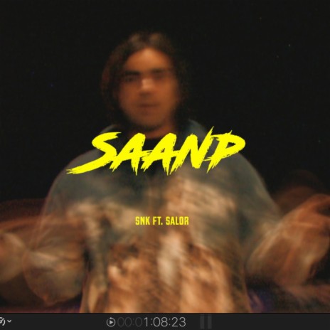 Saanp ft. Salor | Boomplay Music