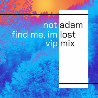 Find Me, I'm Lost (VIP)