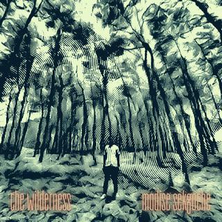 The Wilderness lyrics | Boomplay Music