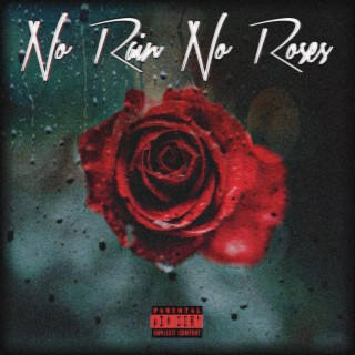No Rain No Roses