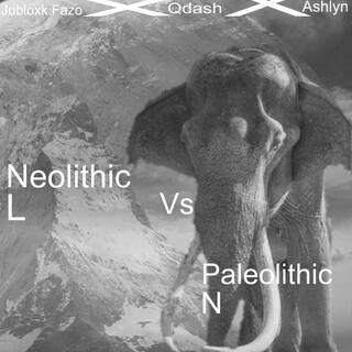 Neolithic vs paleolithic