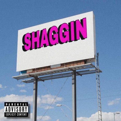 Shaggin | Boomplay Music