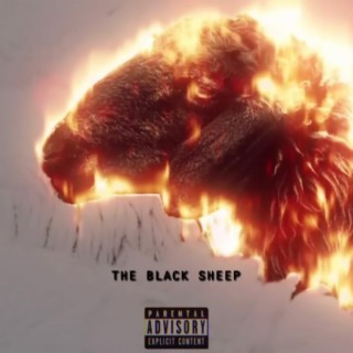 THE BLACK SHEEP