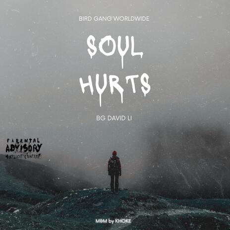 Soul Hurts | Boomplay Music