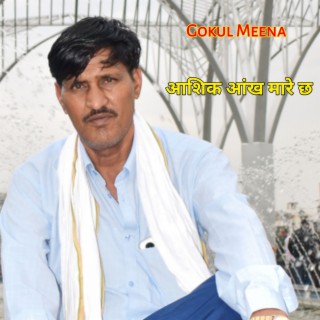 Gokul Meena