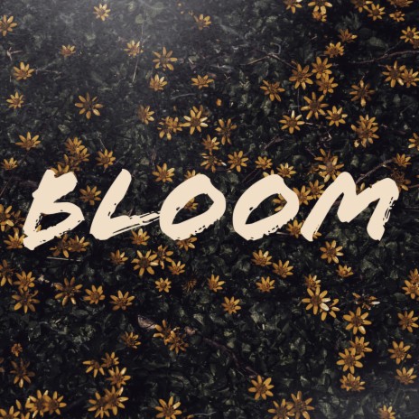 Bloom ft. Priv | Boomplay Music