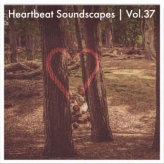 Heartbeat Soundscapes, Vol. 37
