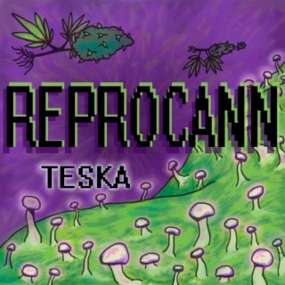 REPROCANN lyrics | Boomplay Music