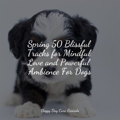 At Ease ft. Sleeping Music For Dogs & Music for Calming Dogs | Boomplay Music