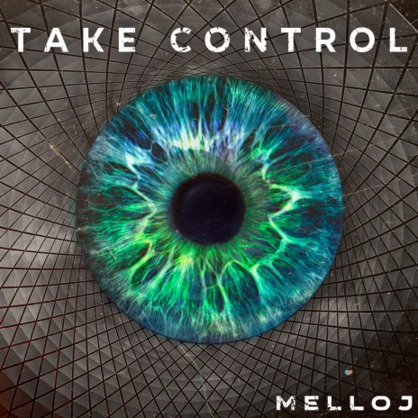 Take Control | Boomplay Music