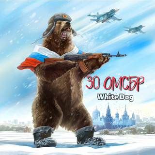 30 ОМСБР