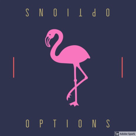 Options | Boomplay Music