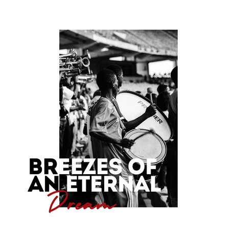 Breezes Of An Eternal Dream ft. NYC Jazz Quartett & The Limp Twins | Boomplay Music