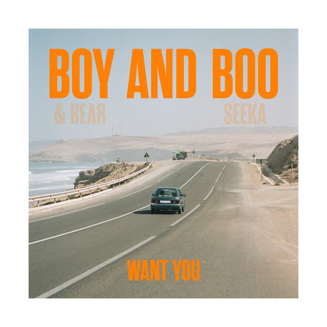 Want You ft. Boo Seeka | Boomplay Music