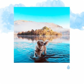 Chansons calmantes pour la réduction du stress de votre chien : Vibrations de la mer