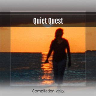 Quiet Quest