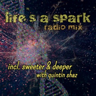 Lifes a Spark (Radio Mix) lyrics | Boomplay Music