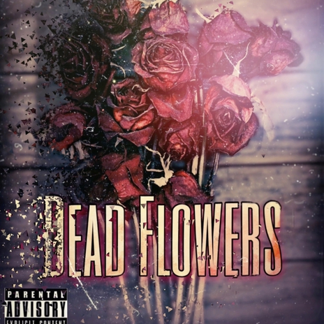 Dead Flowers | Boomplay Music