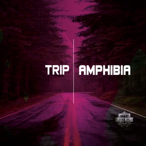 Trip (Original Mix) | Boomplay Music