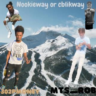 NookWay X CblikWay