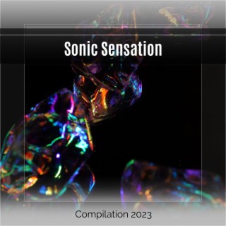 Sonic Sensation