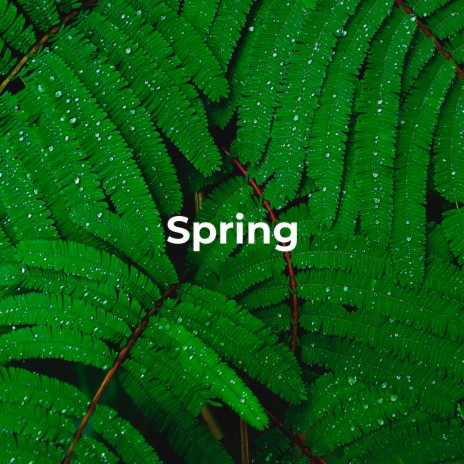 Spring | Boomplay Music