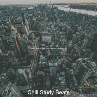 Classic Music for 2 AM Study Sessions - Chill Hop Lo Fi