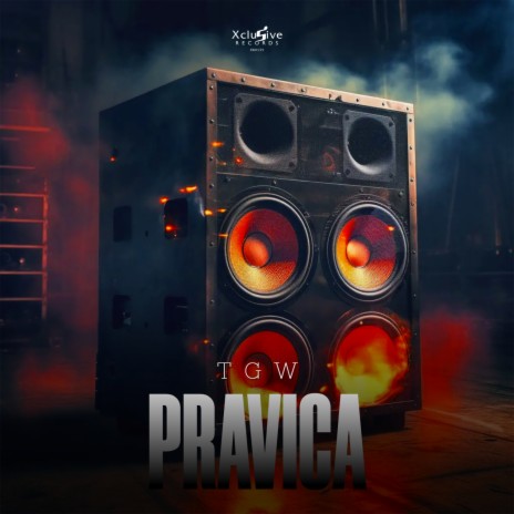 Pravica (Instrumental Mix) | Boomplay Music