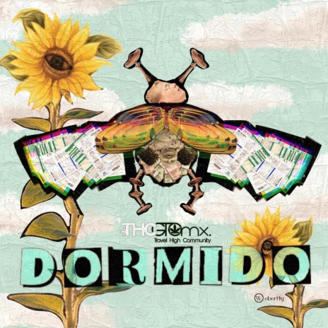 Dormido | Boomplay Music