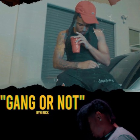 Gang Or Not | Boomplay Music