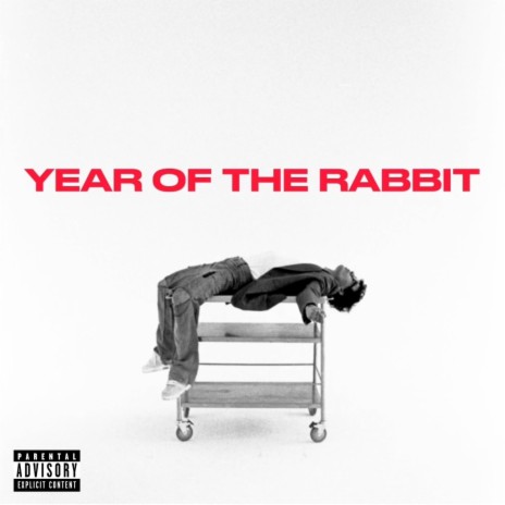 Year Of The Rabbit | Boomplay Music