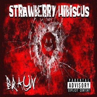 Strawberry Hibiscus (Freestyle) lyrics | Boomplay Music