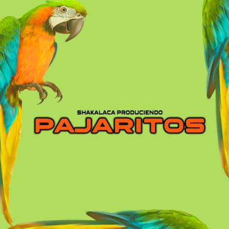 Pajaritos | Boomplay Music