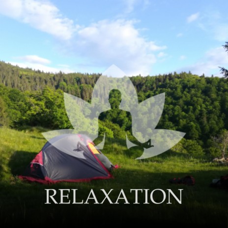 Spa & Massage Meditation Music | Boomplay Music