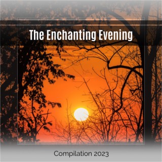 The Enchanting Evening