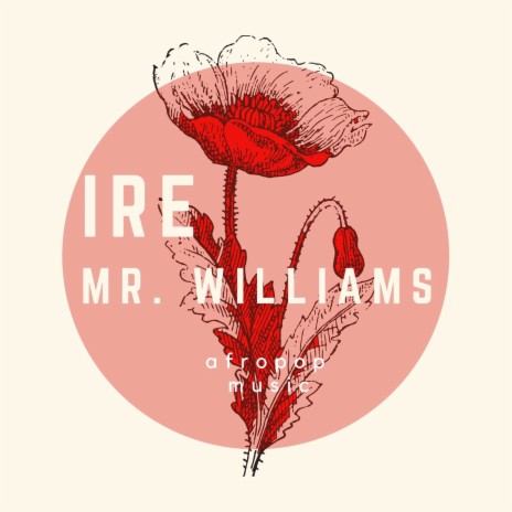 Mr. Williams | Boomplay Music