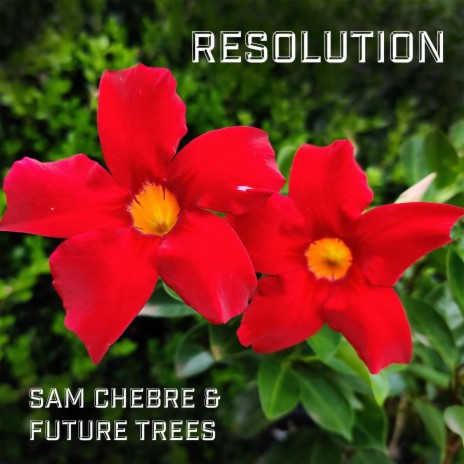 Resolution ft. Sam Chebre | Boomplay Music