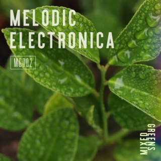 Melodic Electronica