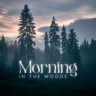 Morning in the Woods: Nature Ambience Music, Calming Moments, Time of Contemplation, Wonderful Sounds