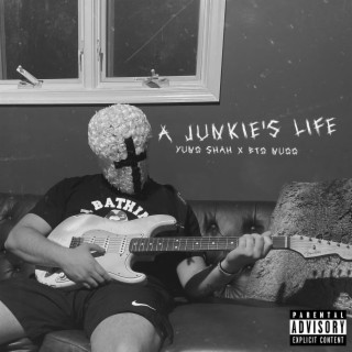 A Junkie's Life