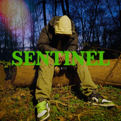 Sentinel | Boomplay Music