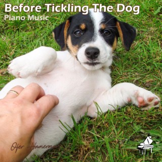 Before Tickling The Dog (Piano Music)