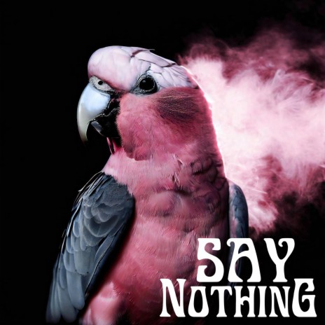 Say Nothing
