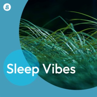 Sleep Vibes