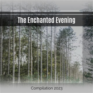 The Enchanted Evening
