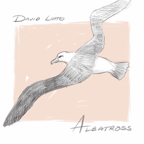 Albatross | Boomplay Music