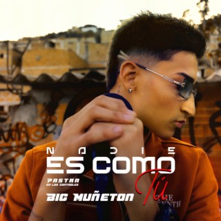 Nadie Es Como Tú ft. PastraEnLosControles lyrics | Boomplay Music